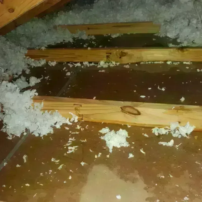 Attic Water Damage in Okaloosa County, FL