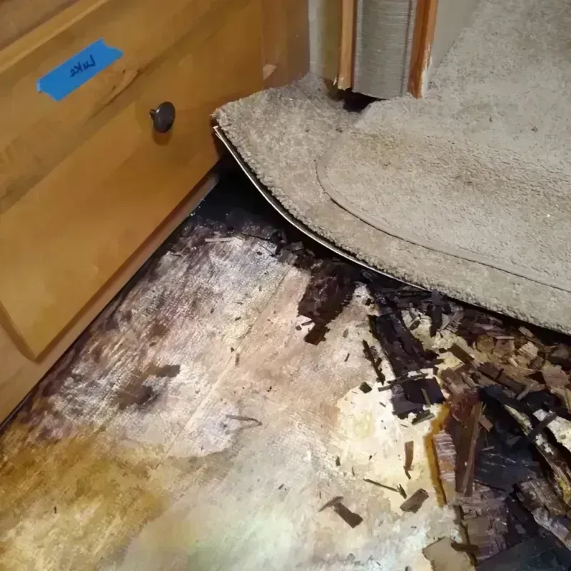 Wood Floor Water Damage in Okaloosa County, FL